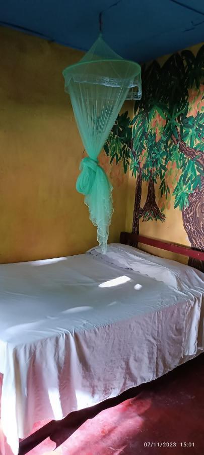 Hostel La Gloria Ometepe Bagian luar foto