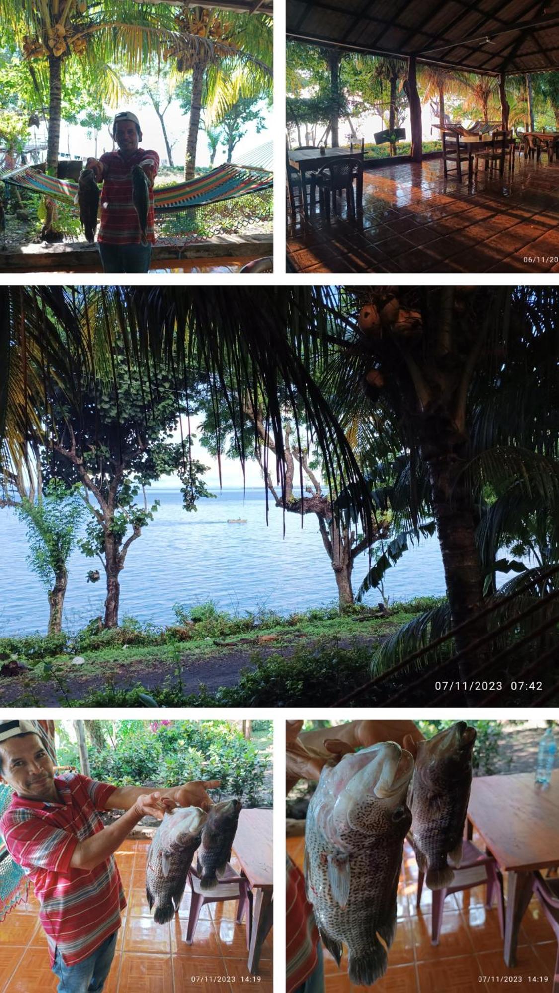 Hostel La Gloria Ometepe Bagian luar foto