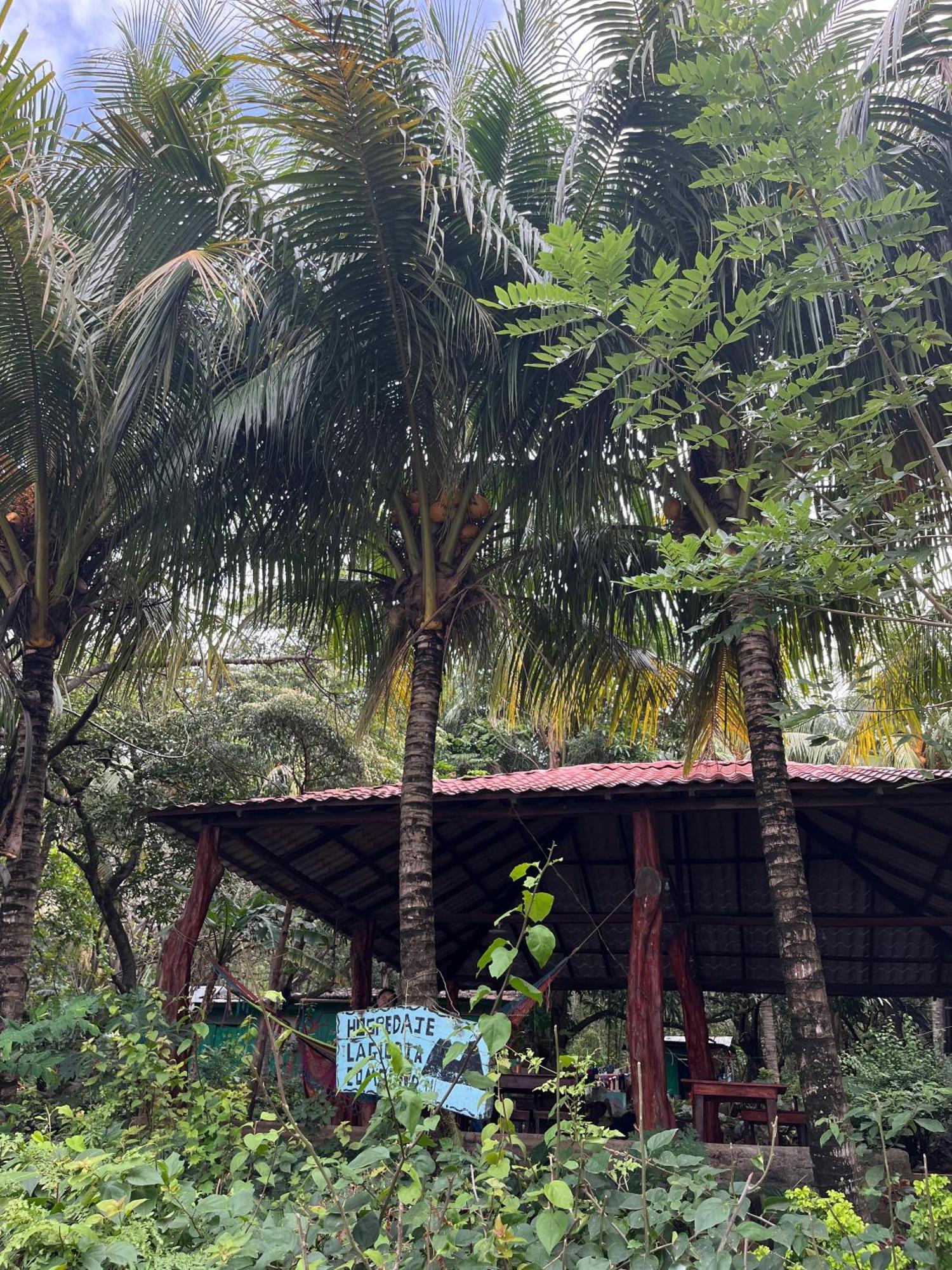 Hostel La Gloria Ometepe Bagian luar foto